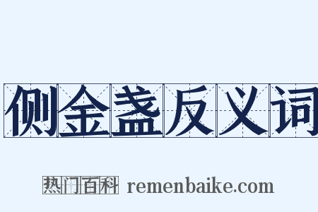 侧金盏反义词是什么意思的图片